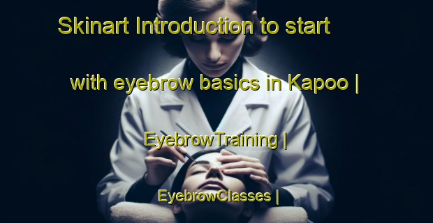 Skinart Introduction to start with eyebrow basics in Kapoo | EyebrowTraining | EyebrowClasses | SkinartTraining-Togo